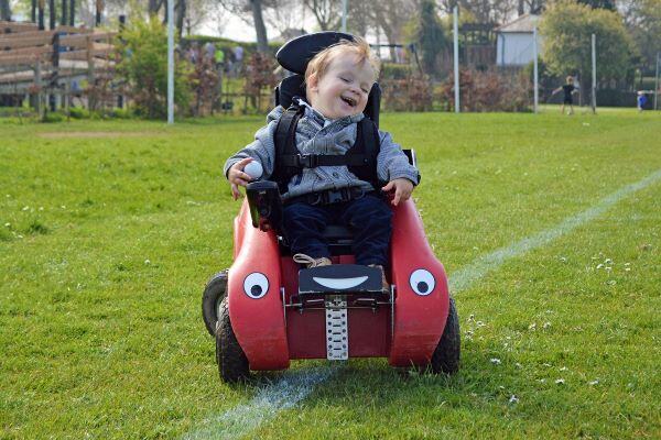 wizzybug6 small